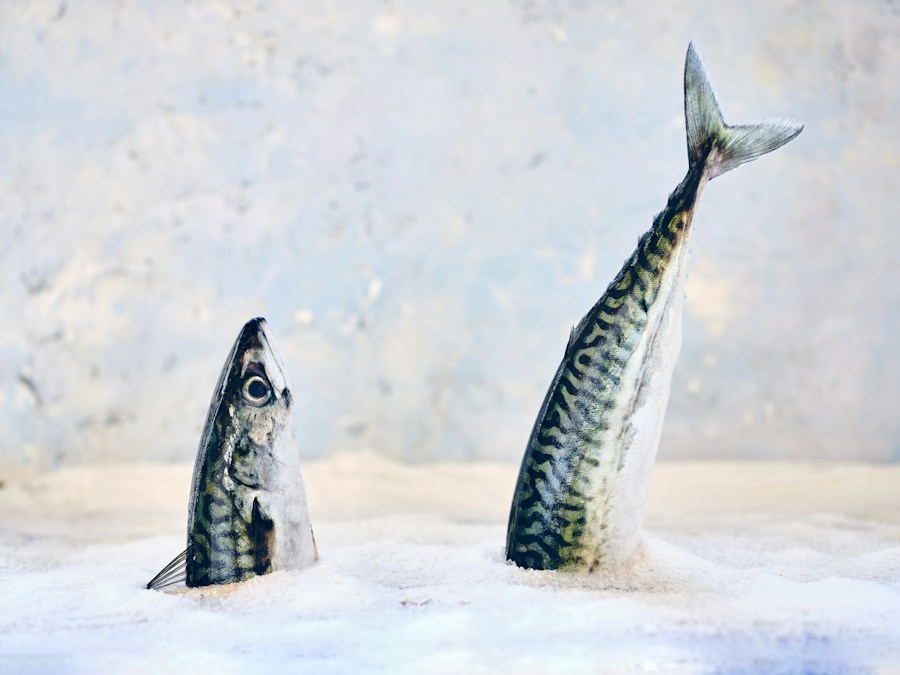 Why Atlantic Mackerel (Titus) Remains Nigeria's Favourite Fish