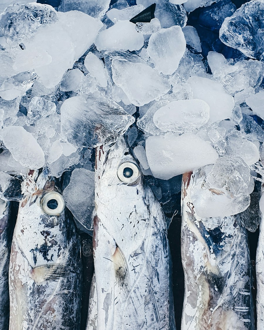The Business Case for Cold Storage Investment in Nigeria